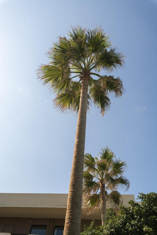 Hotel Haris On The Beach Agia Marina  ภายนอก รูปภาพ